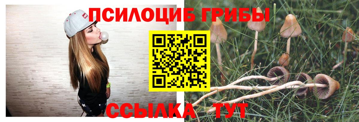 Ростов-на-Дону  Псилоцибиновые грибы Psilocybine cubensis  Вход с VPN 